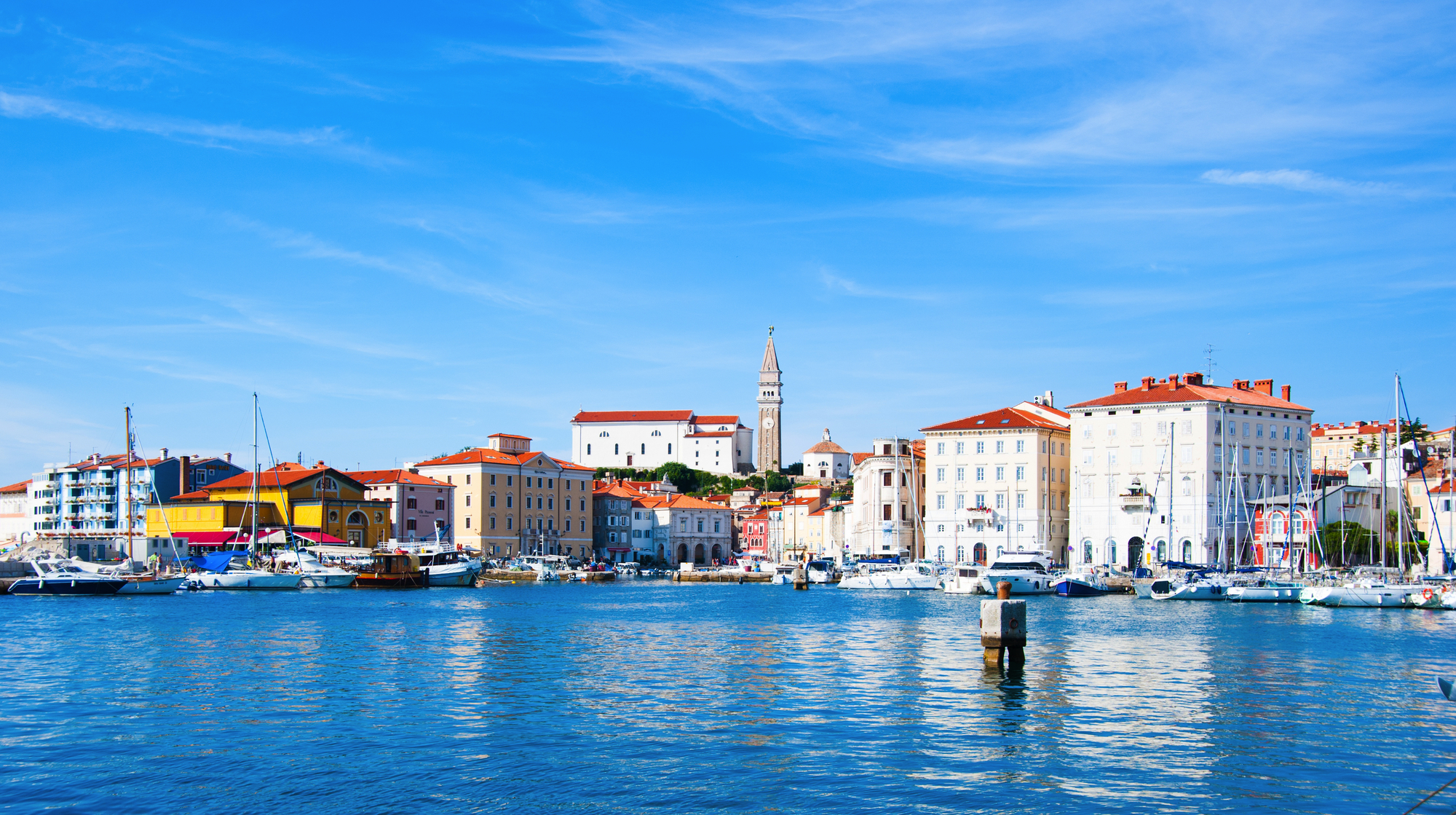 1033528-949793-V1-P0