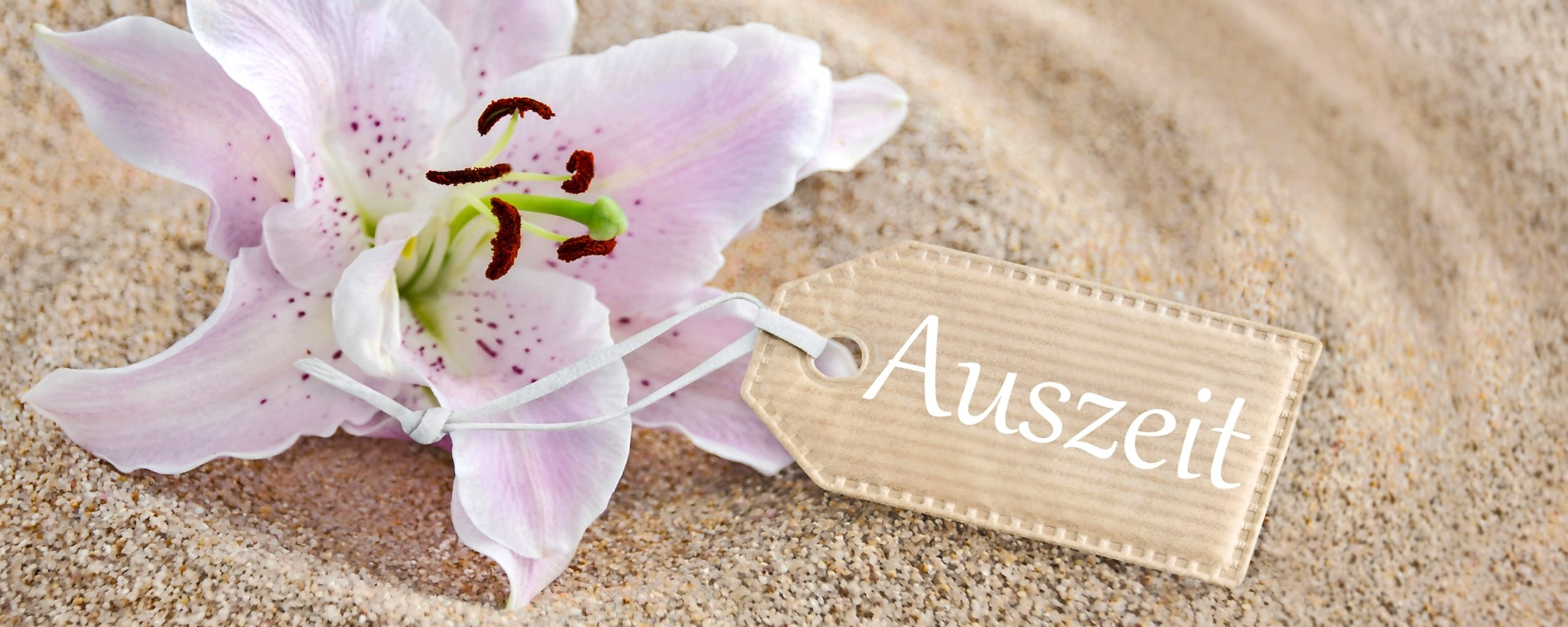 Wellness - Auszeit