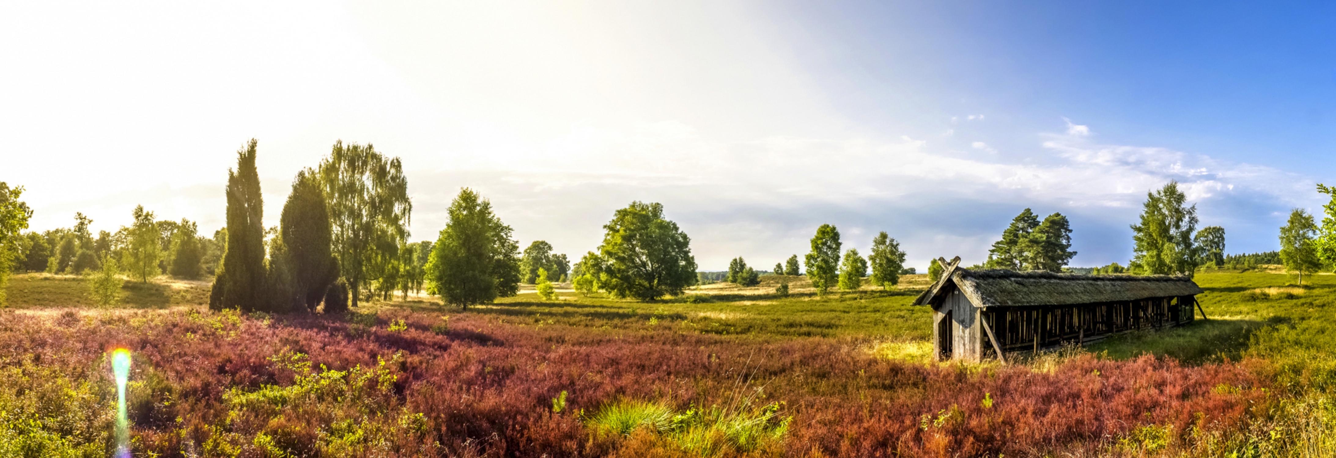 Panorama der Lüneburger Heide