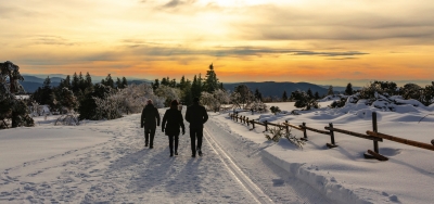 winterlicher Schwarzwald, Deutschland