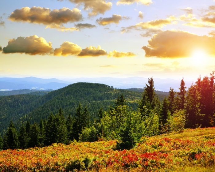 Herbstlandschaft am Großen Arber im Nationalpark Bayerischer Wald, Deutschland
