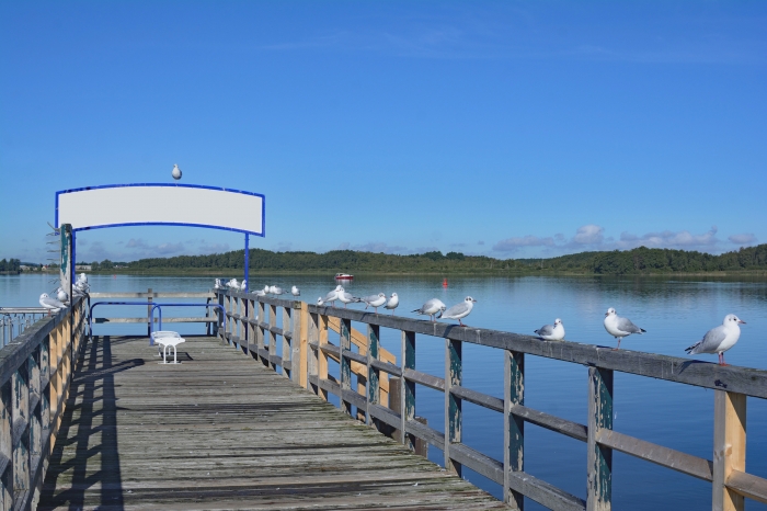 Idylle im Müritz Nationalpark am Müritzsee