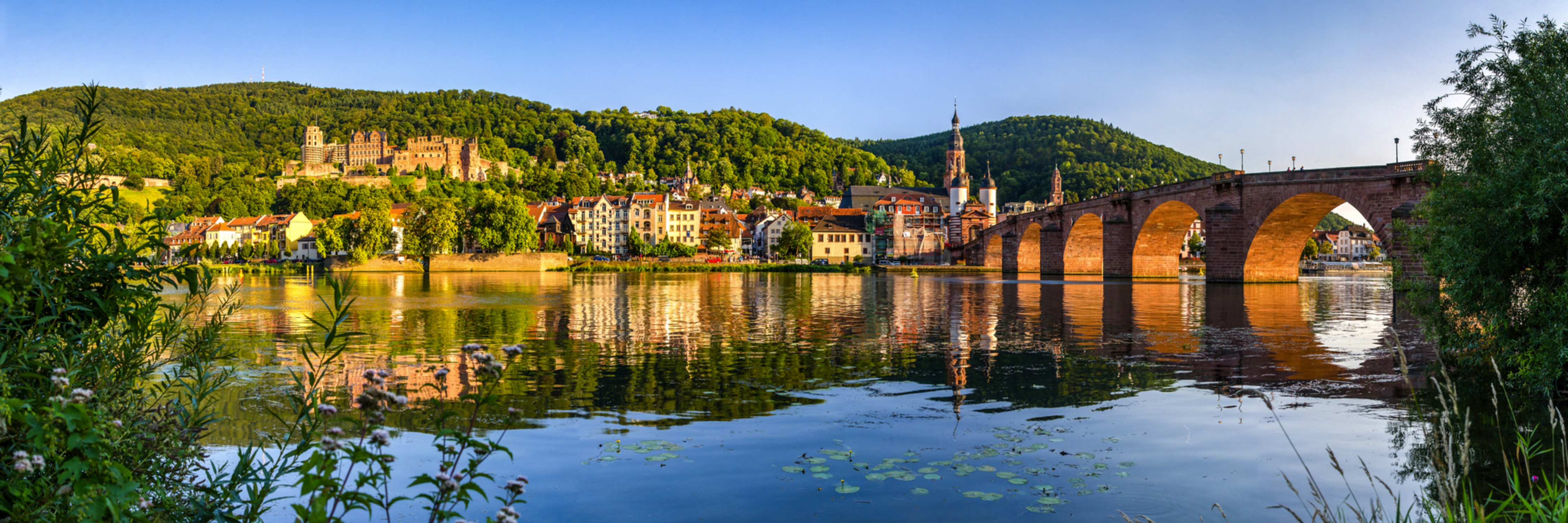 Heidelberg Panorama mit Schloss und Alter Brücke