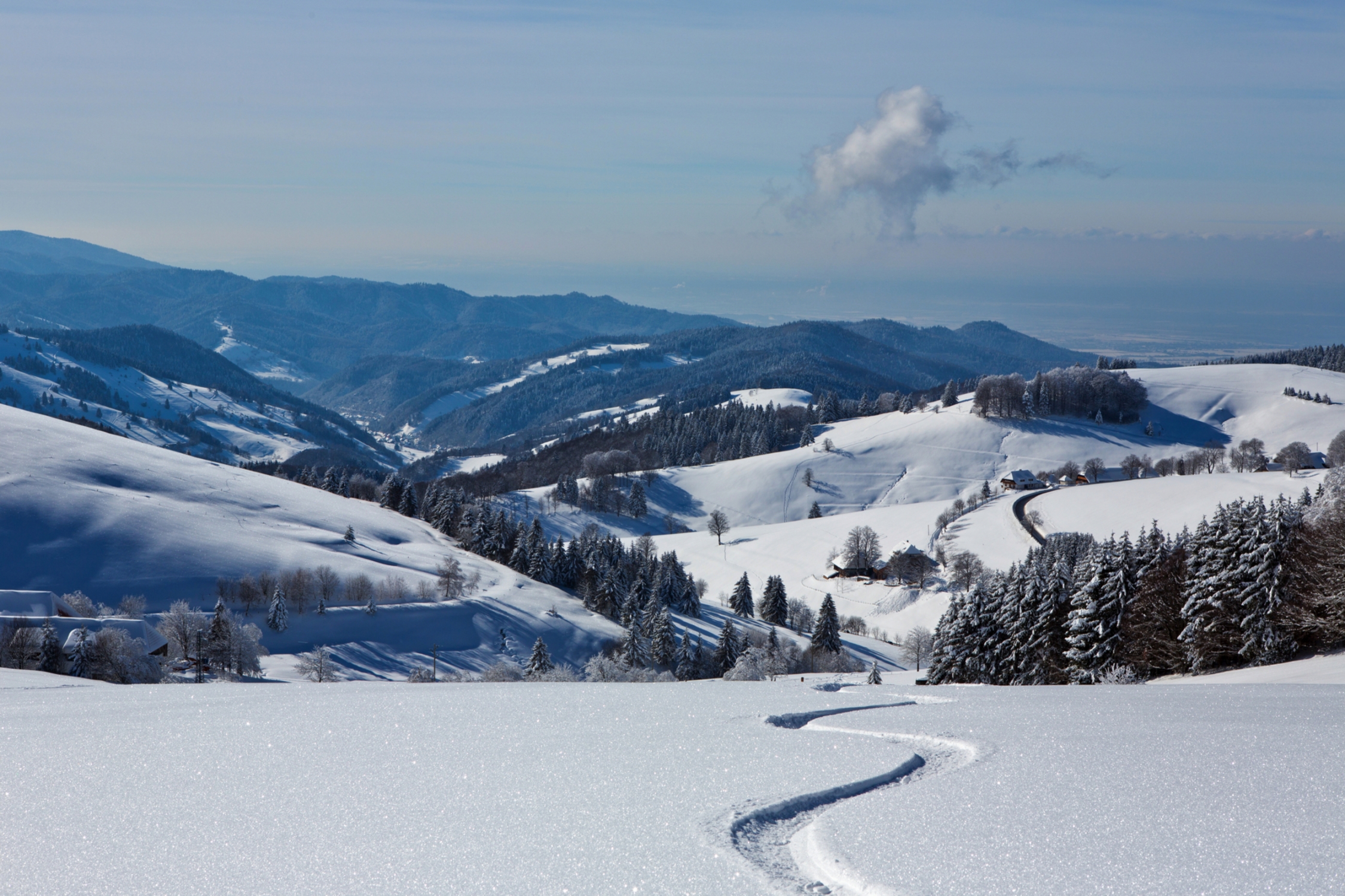 winterlicher Schwarzwald, Deutschland