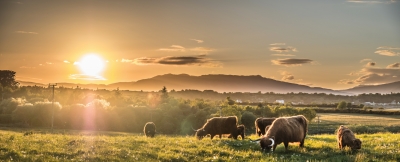 Sonnenuntergang über den schottischen Highlands