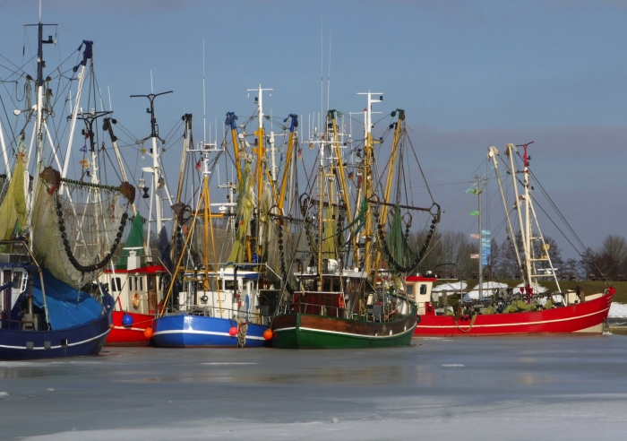 Winter in Ostfriesland