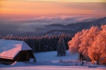 winterlicher Schwarzwald im Sonnenuntergang