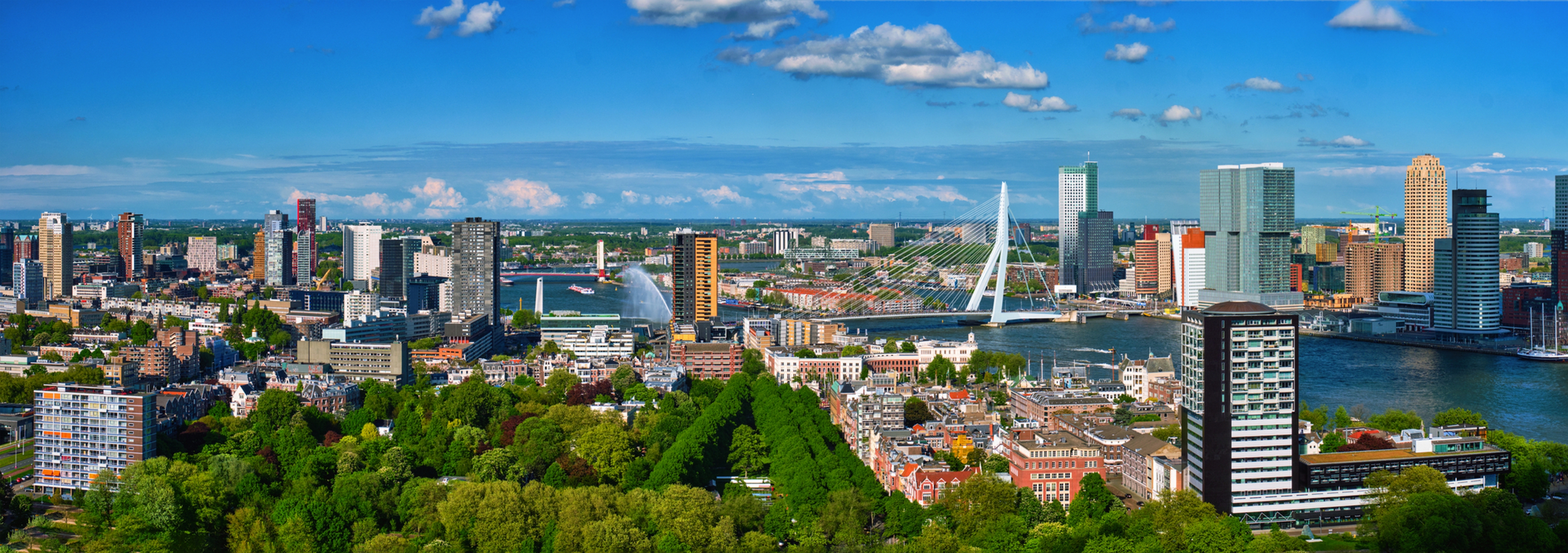 Luftpanorama der Stadt Rotterdam und der Erasmusbrücke