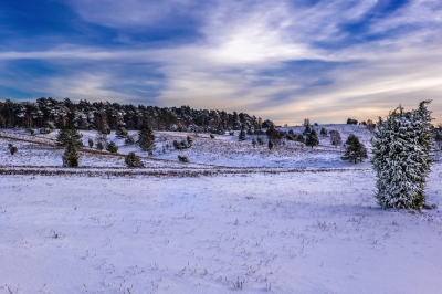 Naturpark Lüneburger Heide im Winter