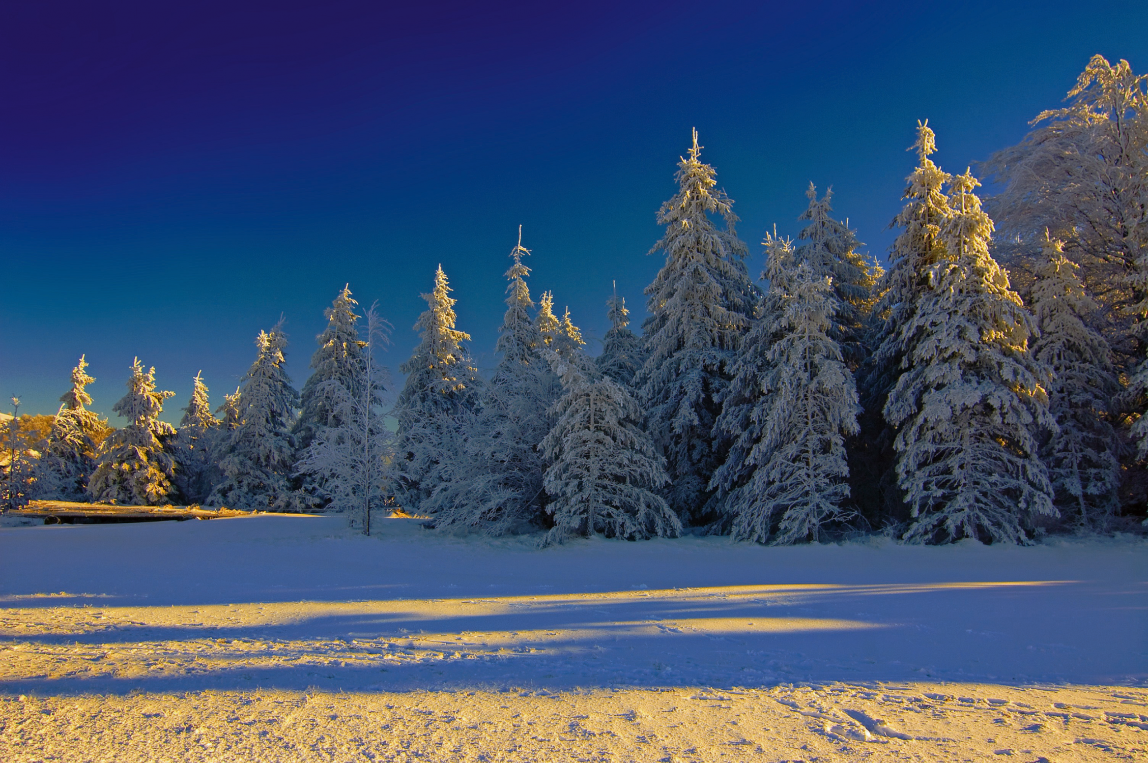 Schnee 4