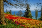 Insel Mainau im Bodensee, Deutschland