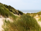 Küstenlinie und Sanddünen der Nordsee,Belgien